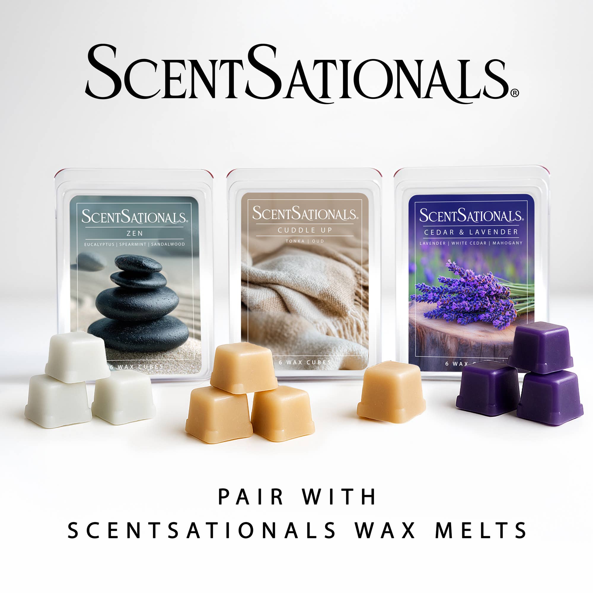 ScentSationals - Wholesale Wax Warmer - Cottage Farmhouse Edison Fragrance and Wax Electric Warmer5