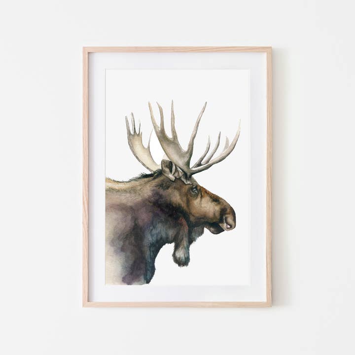 Moose Art Print for wholesale by Broken Paddle Studio
