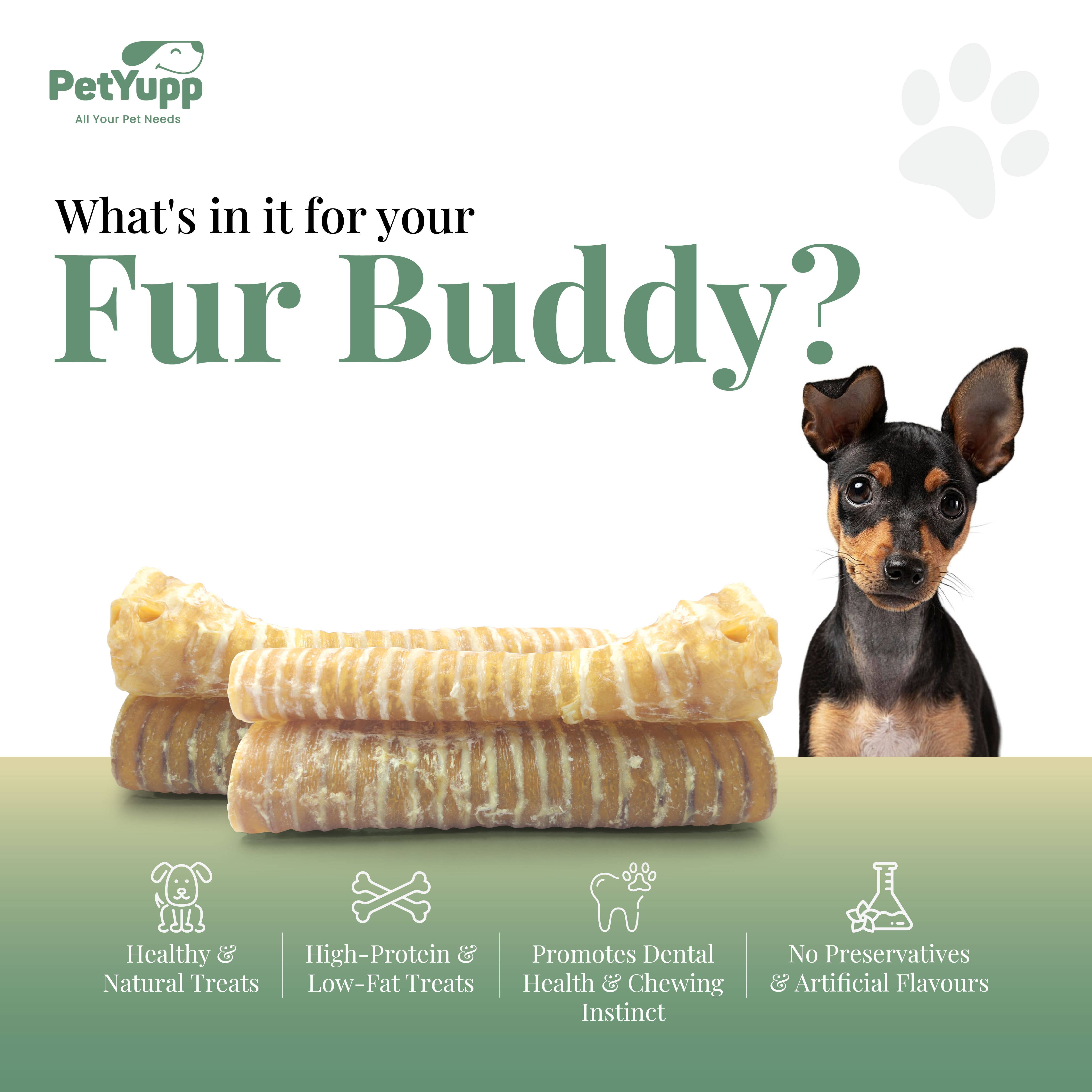 PetYupp - Wholesale Pet Treats - Dog - 100% Natural Water Buffalo Trachea Dog Chew - 6 Inch - 12 Count2