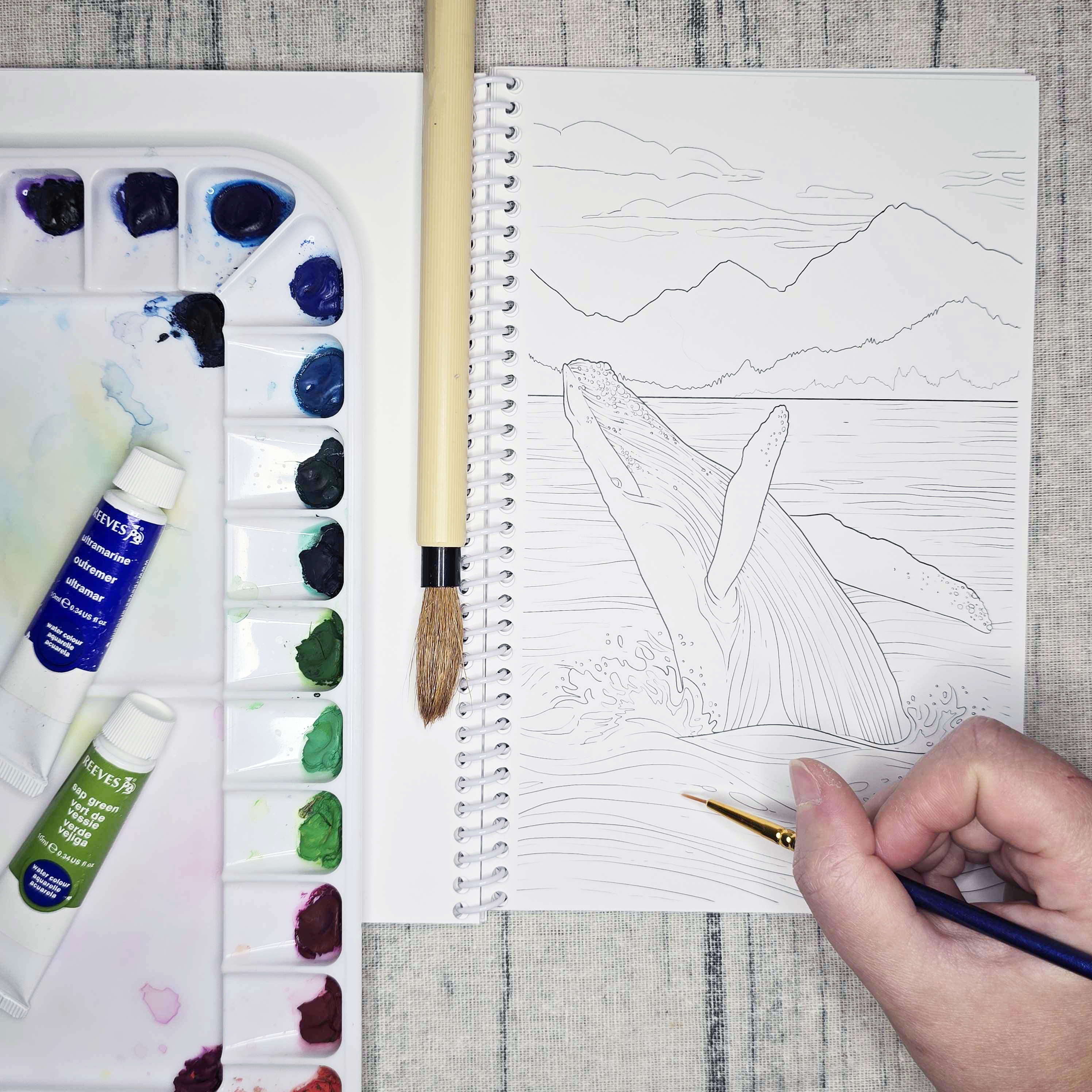 The Snow Finch – wholesale Målarbok - Vuxen – Kustnära Alaska konst målarbok1