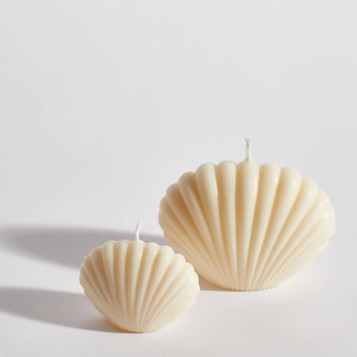 SEASHELL - DECORATIVE CANDLE for wholesale by Boujie