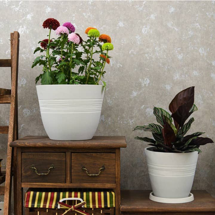 Greenship Garden USA - Wholesale Plant Pot - GreenShip Hand Carved Band Planter, W. 12.21"x H. 10.05"5