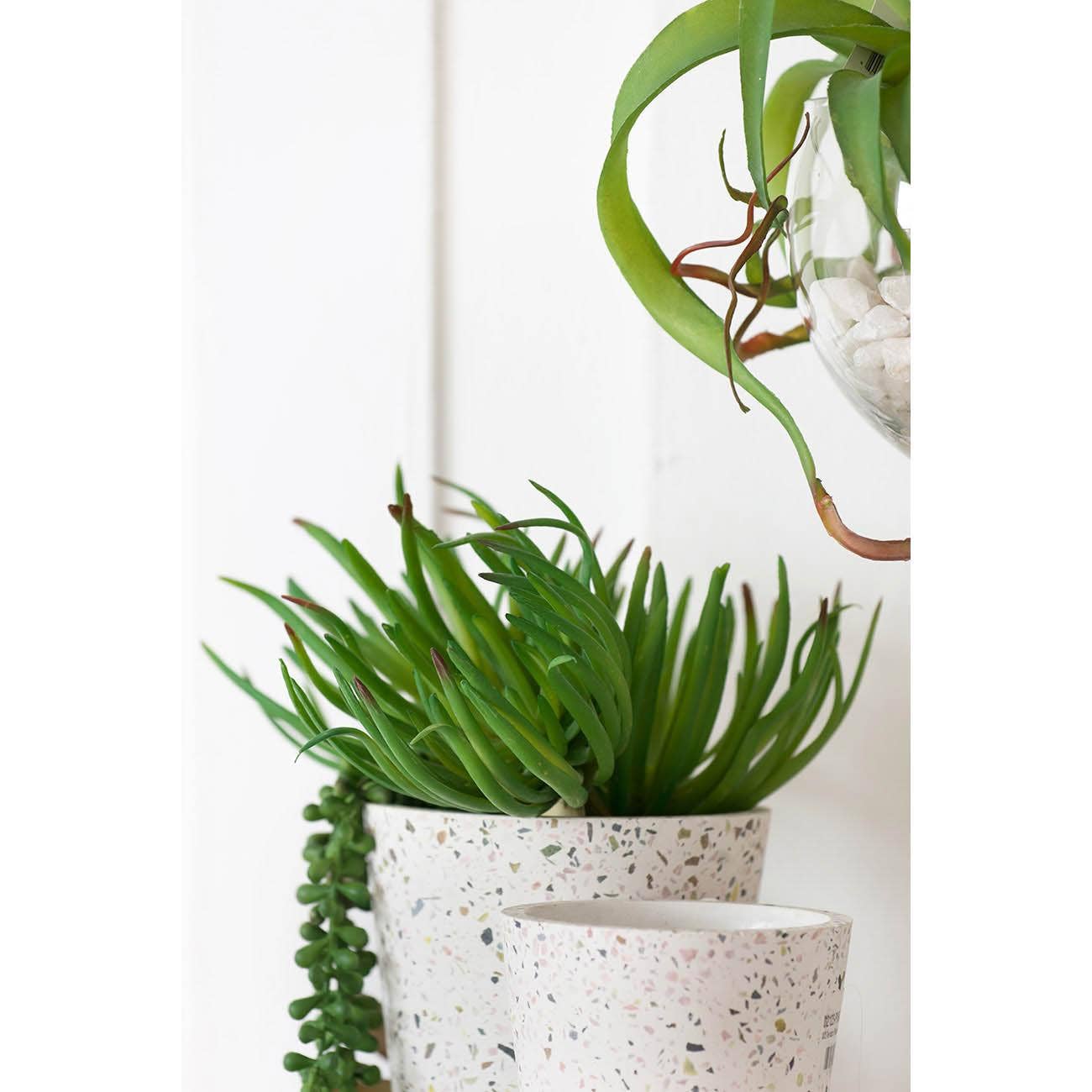 A&B Home Group Inc. – wholesale Konstgjord växt – Faux Stonecrop-suckulentstam 6,5x6,5x7" - Grön2