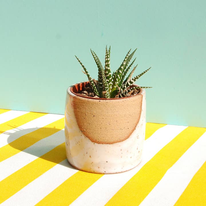 Nightshift Ceramics - Wholesale Plant Pot - Small Ceramic Planter - Glow1