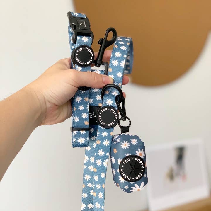 Walk + Wear | Lead | Daisies for wholesale by Poppy + Ted