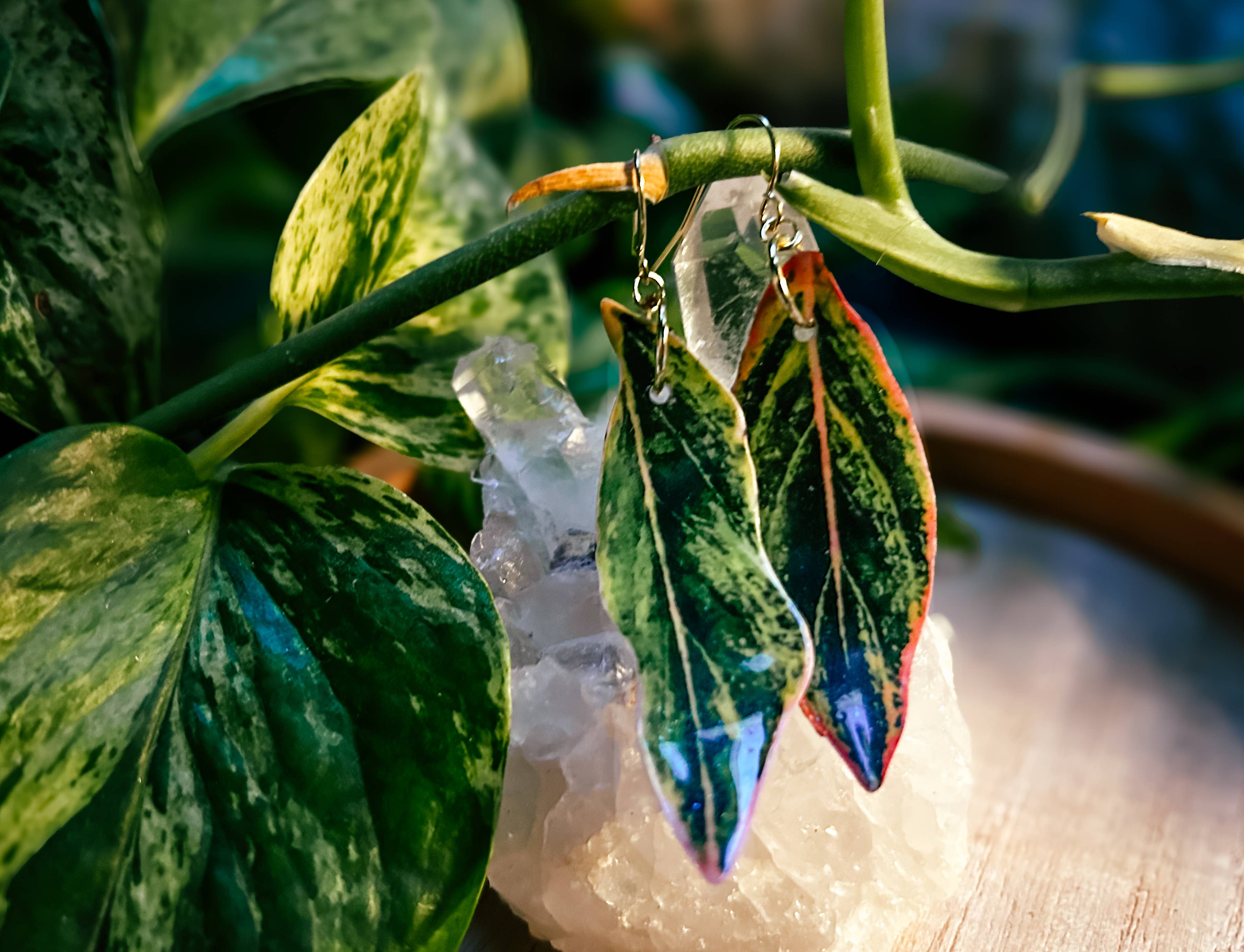 hethr - Wholesale Dangle Earrings - Aglaonema Earring, Magnet, Pin, Decor, Plant Lovers, Leaf (C2