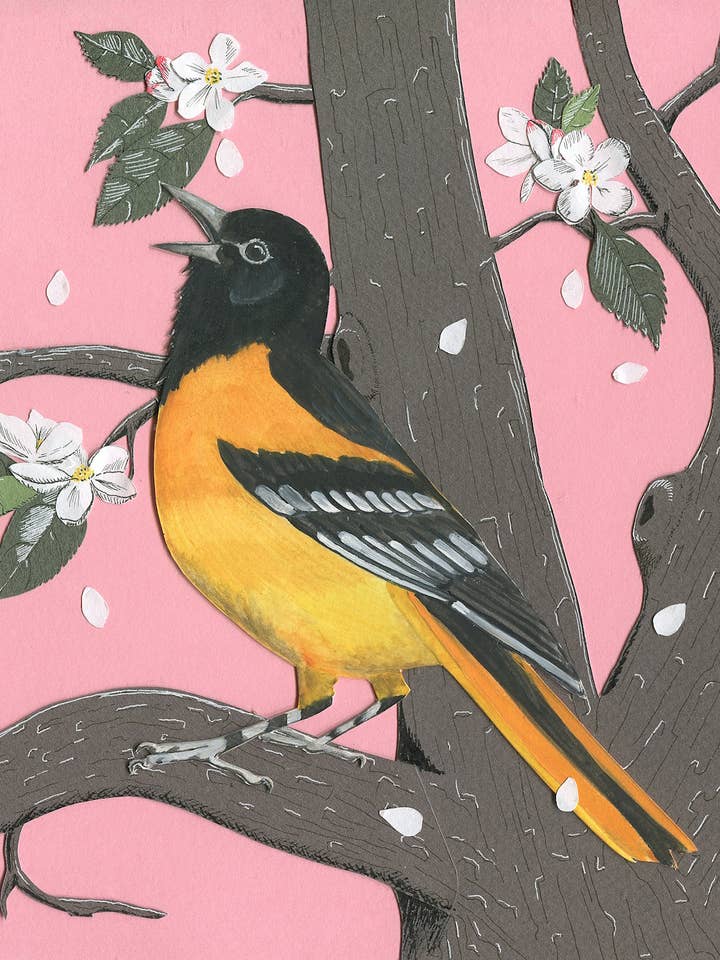 Oriole in Spring Blank wenskaart 4,25"x5,5" voor wholesale door Johanna Finnegan-Topitzer