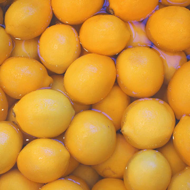 Blake Hill Preserves - Wholesale Jam/Jelly - Lemon Champagne4