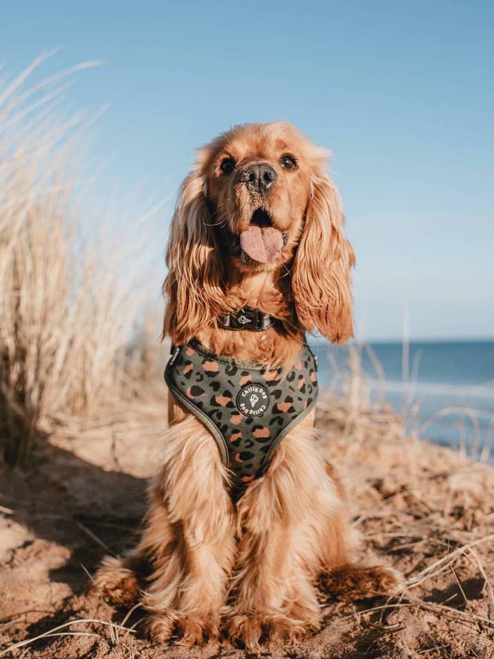 Green Woodland Adventure Puppy Dog Harness for wholesale by Chilly Dog