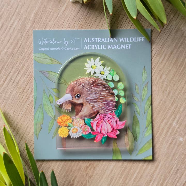 Australian Animals Echidna Magnet and other Purchase Wholesale sublimation magnets. Free Returns & Net 60 Terms on Faire trending on Faire.
