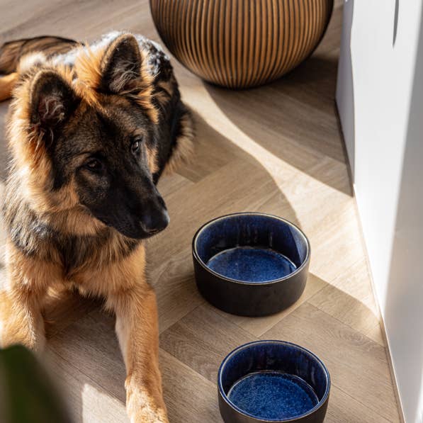 AVA bowls - Wholesale Pet Bowl - Cat/Dog - Ceramic food bowl Manta