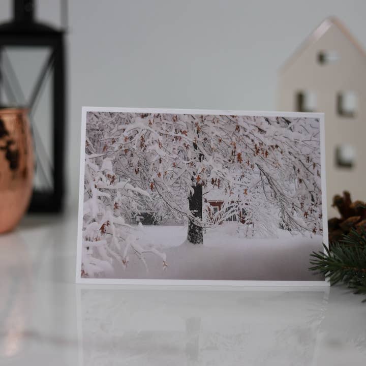 New England Prints - Wholesale Stationery/Notecard Set - Box of 5 All Occasion New England Winter Blank Note Cards7