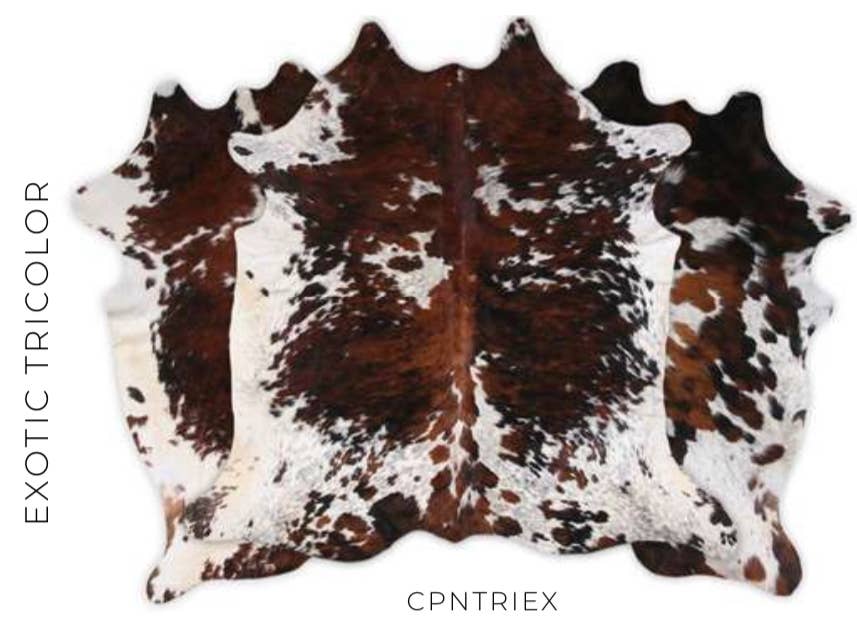 Western Linens - Wholesale Area Rug - Authentic Brazilian Cowhide all Colors Collection6