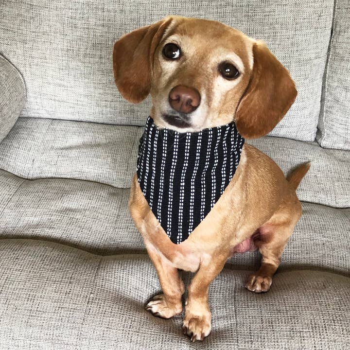 Walking Palm – wholesale Pet bandana – Dog – Dog Bandana Small - Pinstripe Woven3