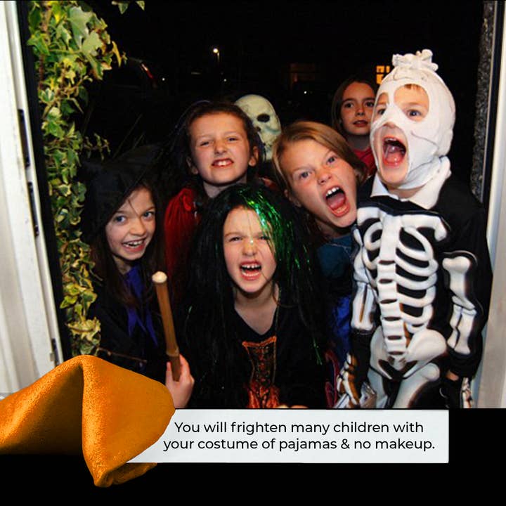 Miss Fortunes - Wholesale Cookie - The Spooky Dozen - Be Afraid. Be Mildly Afraid.6