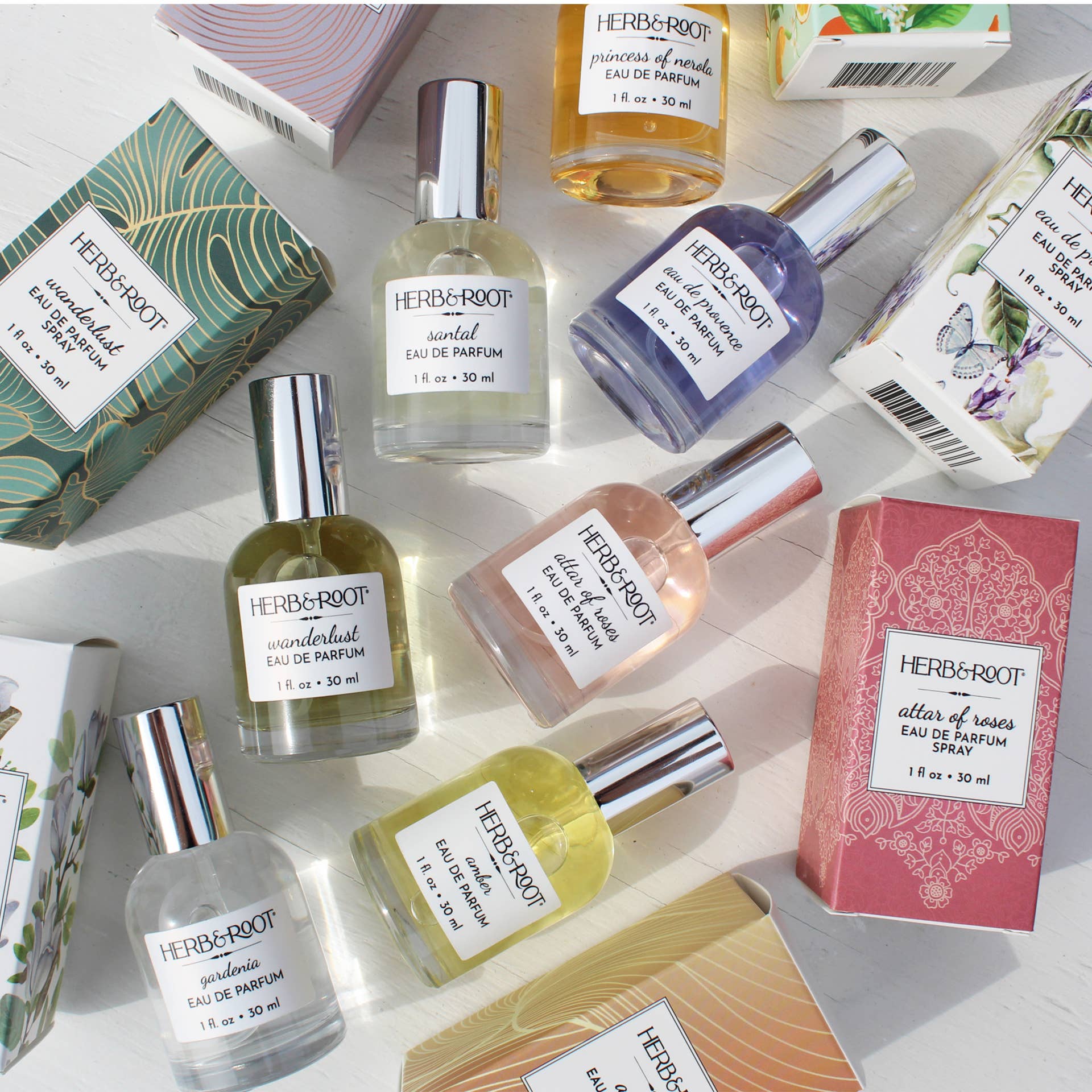 Herb & Root - Wholesale Perfume/Eau de Toilette - Amber Eau de Parfum 4