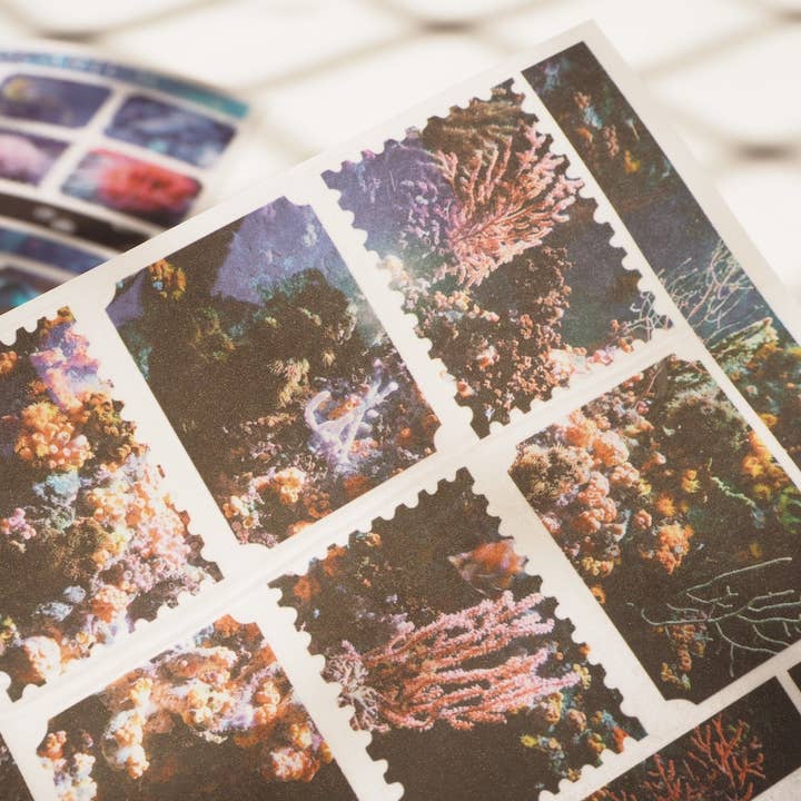 Little Forest Shop - Wholesale Sticker - Aquarium and Coral - Rub-on Transfer Stickers 035 and 036 (LFSO)3