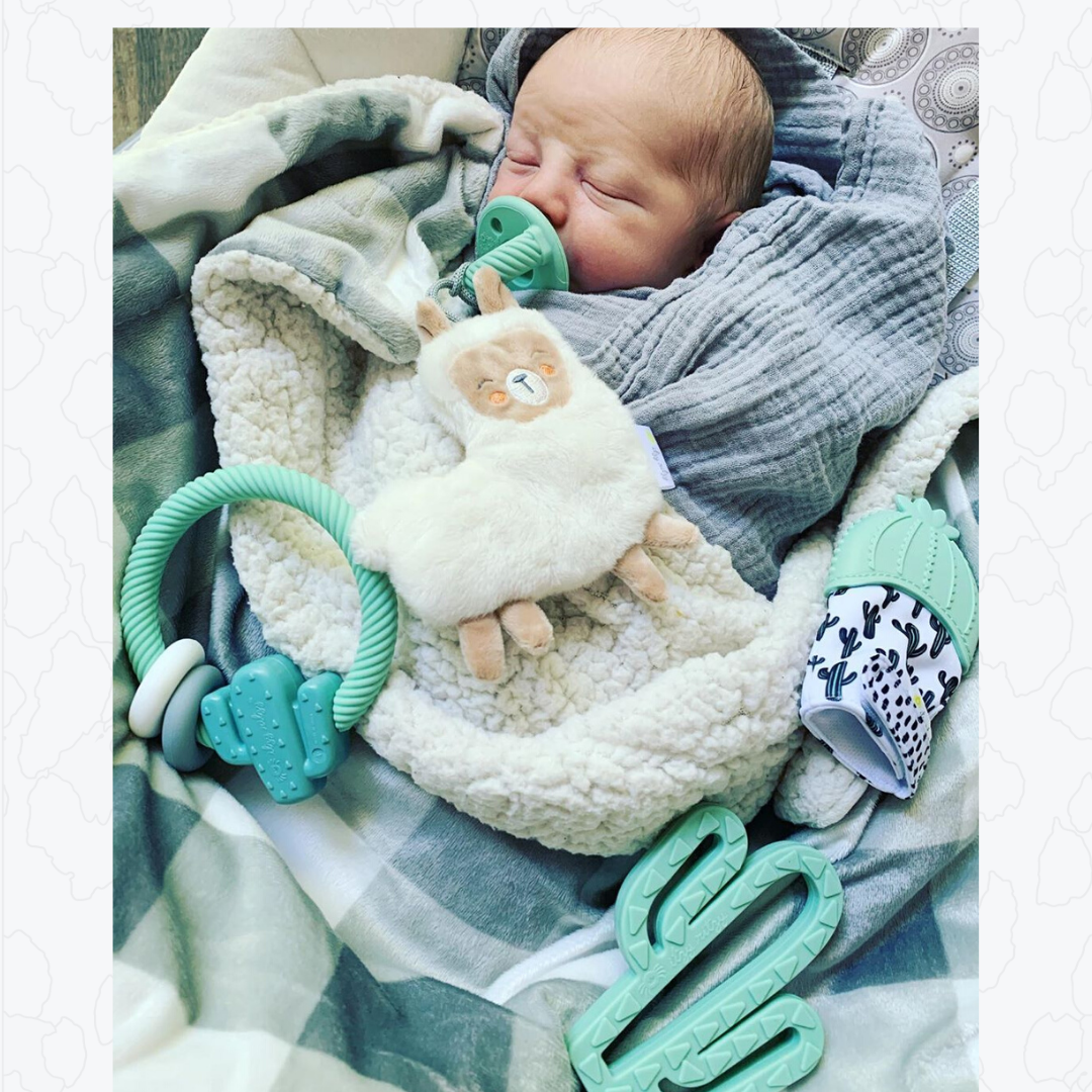 Itzy Ritzy - Wholesale Handheld Rattle - Baby - *NEW OPTION* Ritzy Rattle™ Silicone Teether Rattles20