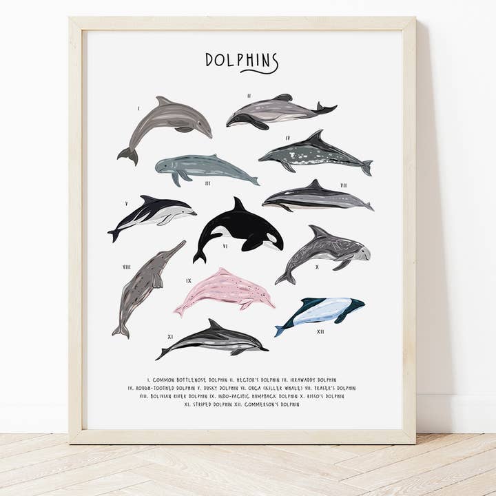 Tipi di stampa dei delfini per la vendita all'ingrosso da parte di Bea Baranowska Illustration