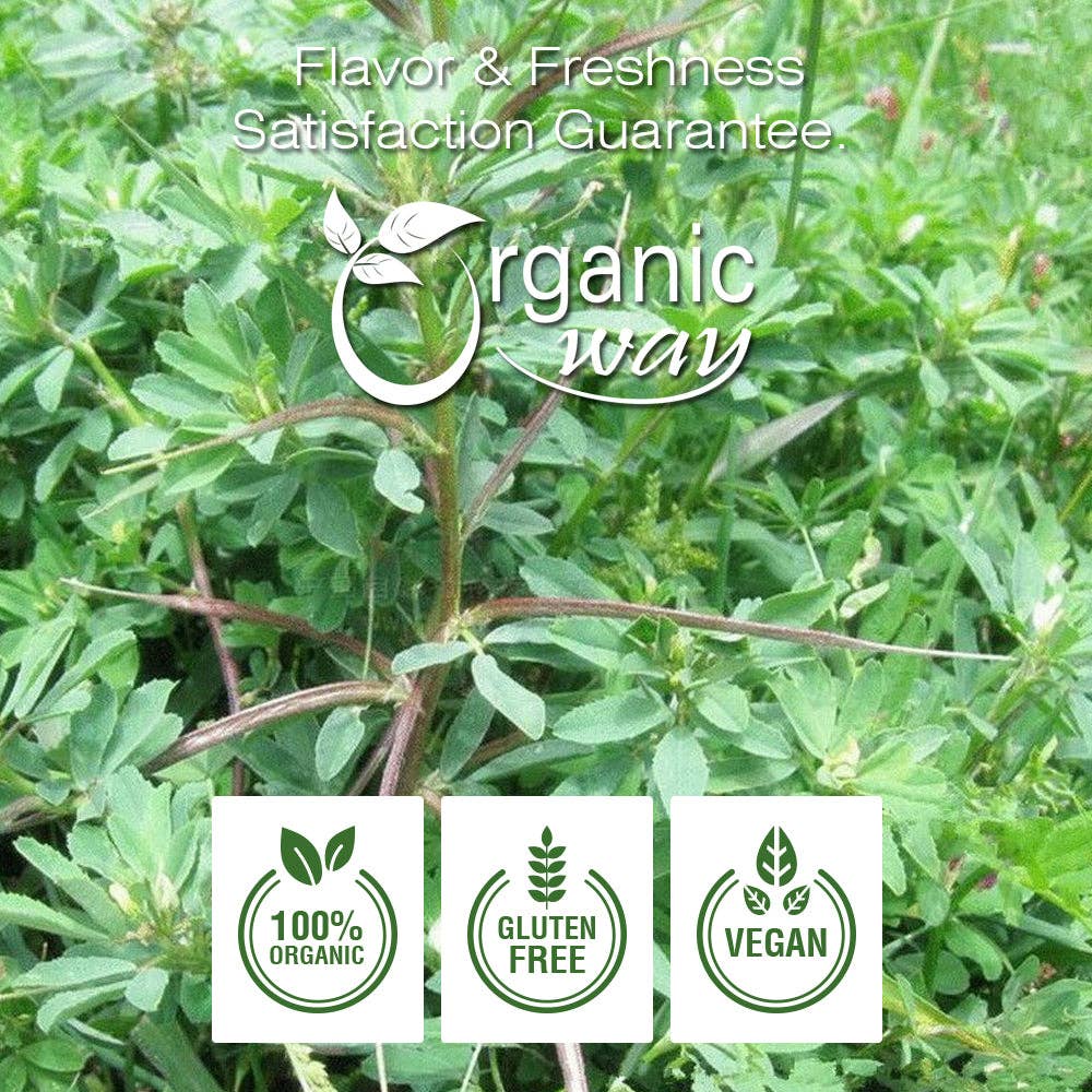 Organic Way LLC - Wholesale Plant Seeds - Fenugreek / Methi Seeds Whole (Trigonella Foenum) - Kosher & USDA Certified | Vegan, Non-GMO & Gluten Free | Tested for Heavy Metal and Purity | 100% Raw from India7