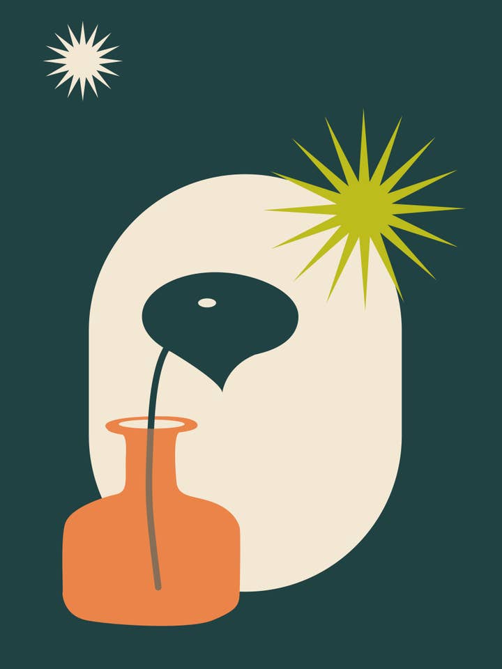 Propagation Station #2: Owl Eye Peperomia for wholesale by fern (like the plant)