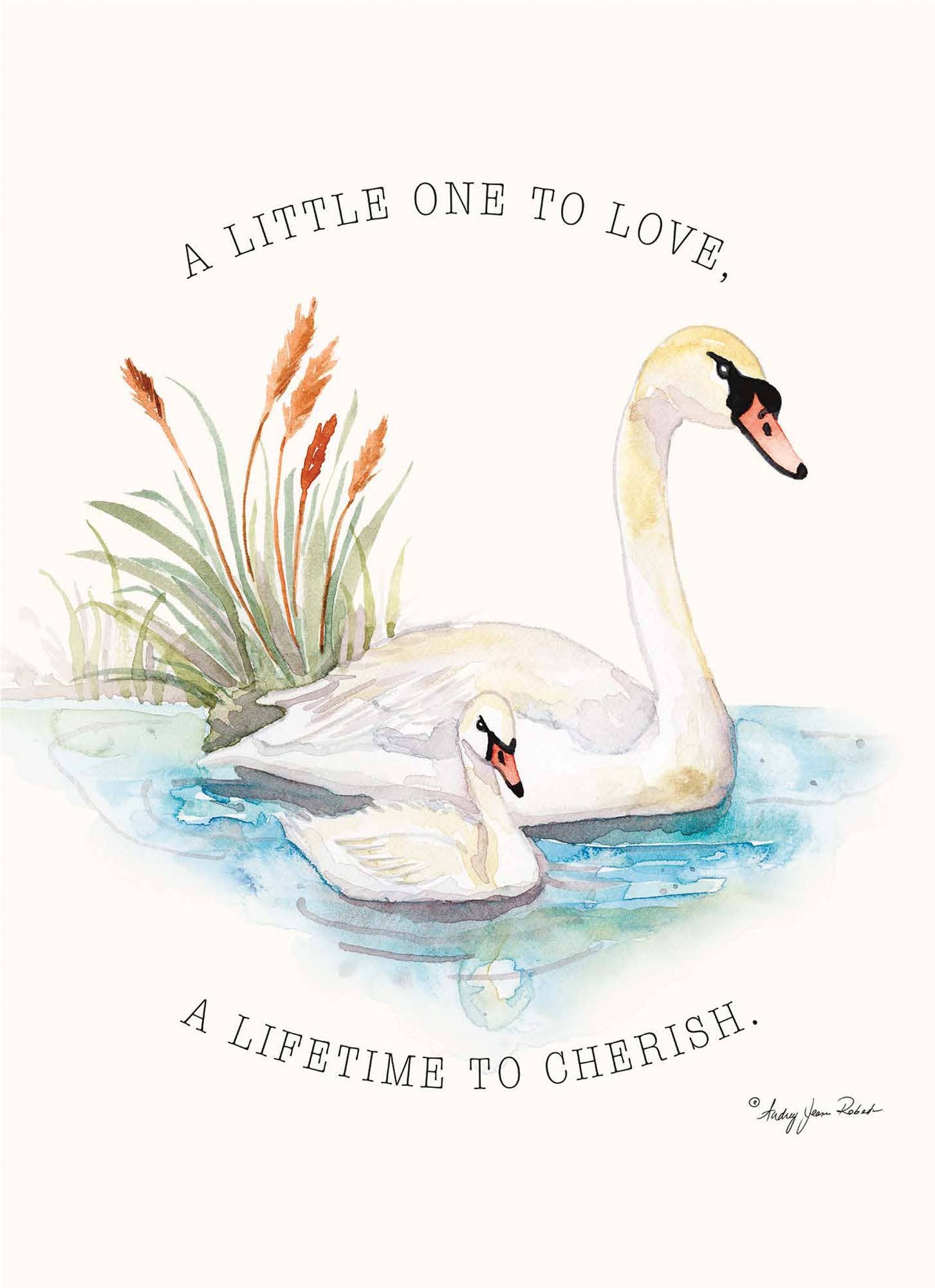 Crown Point Graphics - Wholesale Baby Card - Bundle of Joy - Box of 12 Assorted New Baby Cards14