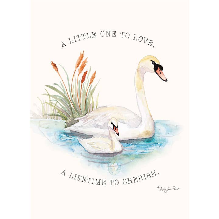 Crown Point Graphics - Wholesale Baby Card - Bundle of Joy - Box of 12 Assorted New Baby Cards14