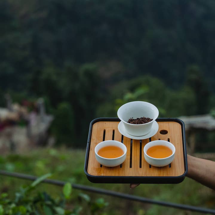 Nepal Tea Collective - Vendita all'ingrosso Tè sfusi - Tè sfuso Kanchanjangha Verde - 1 kg (2,2 libbre)