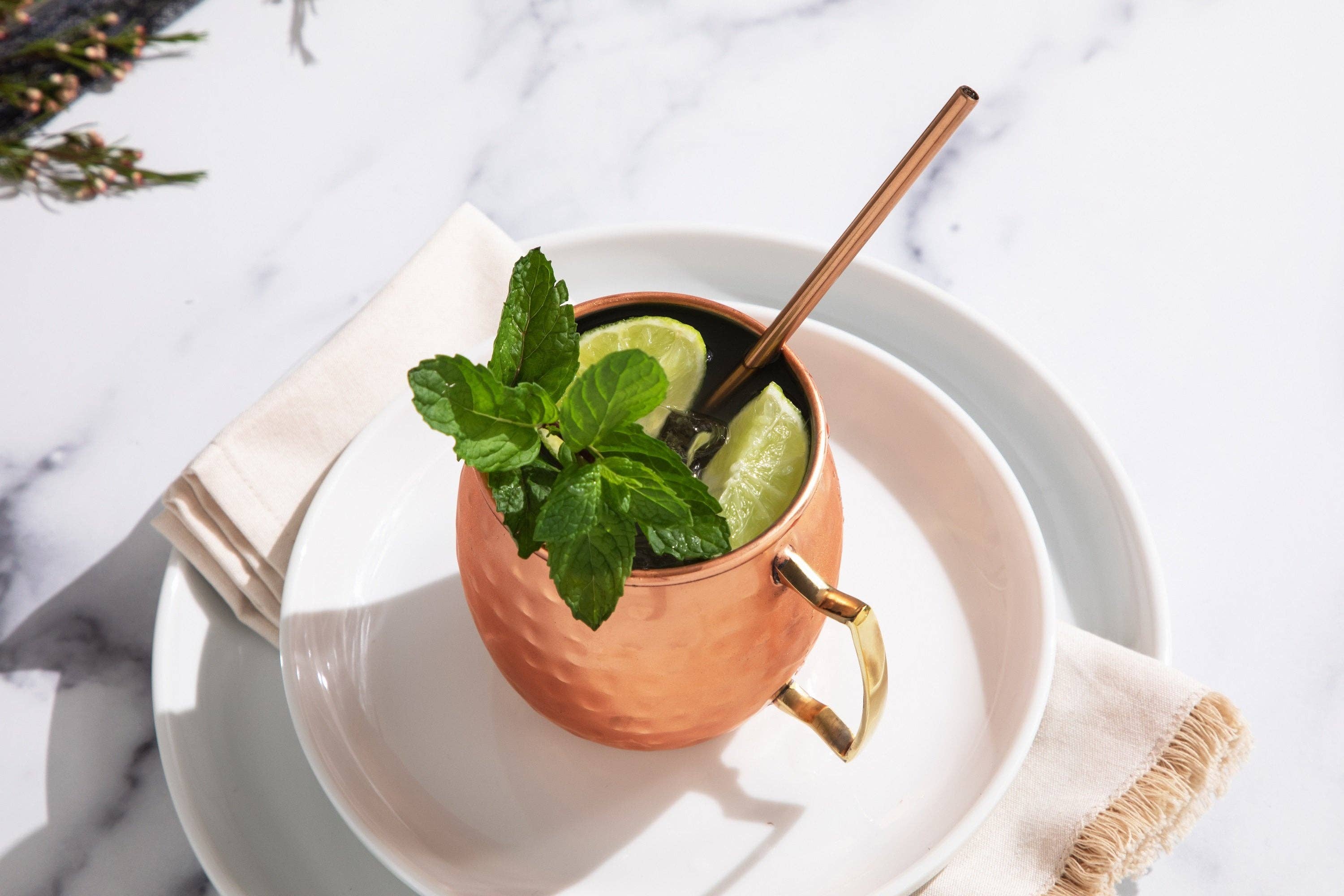 Sol Living - Wholesale Cocktail/Liquor Glass - Moscow Mule Mugs - 4 Pack - Siver/Copper (4 Cups + 4 Straws)8
