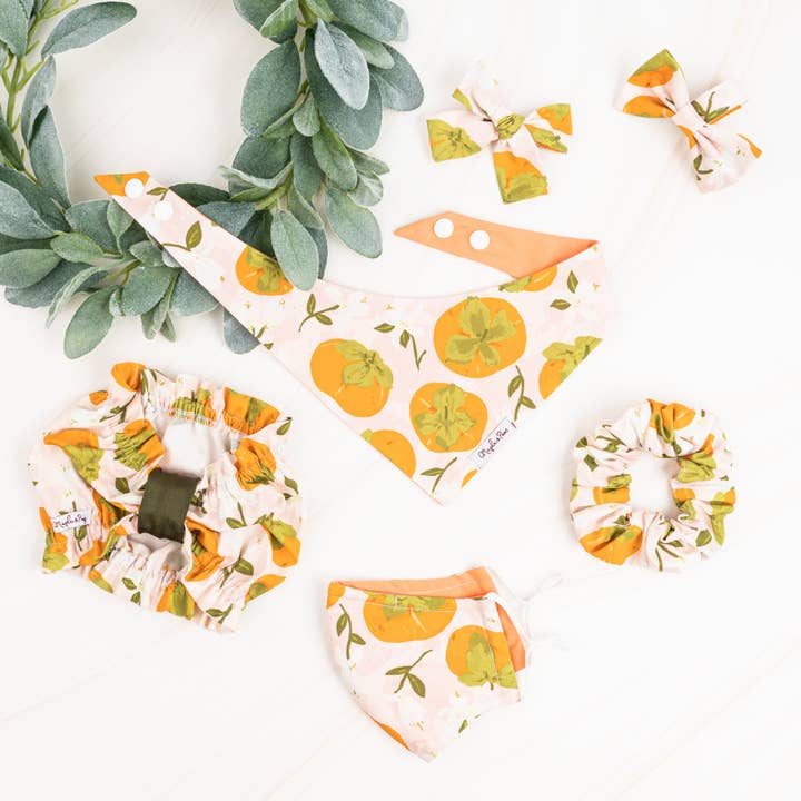 The Persimmon Season Dog Bandana for wholesale by Maple & Paws
