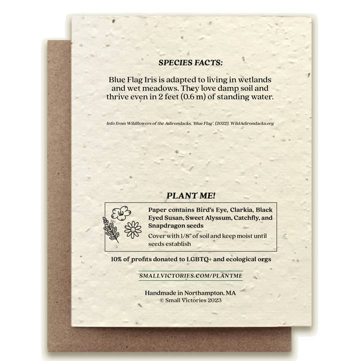 Small Victories - Wholesale Everyday Greeting Card - Blue Flag Iris Plantable Wildflower Seed Card1