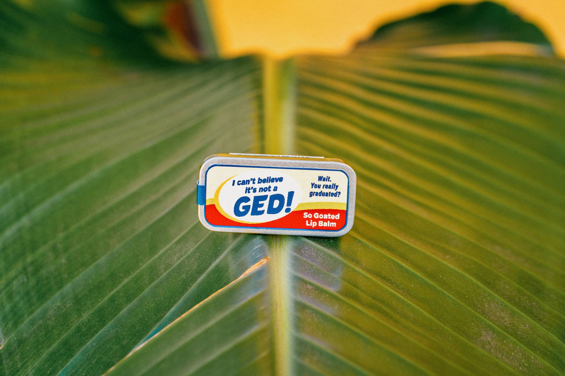 Whiskey River Soap Co. - Vente Baumes à lèvres - Je n'arrive pas à croire que ce n'est pas un GED ! Baume à lèvres | Drôle à l'ancienne0