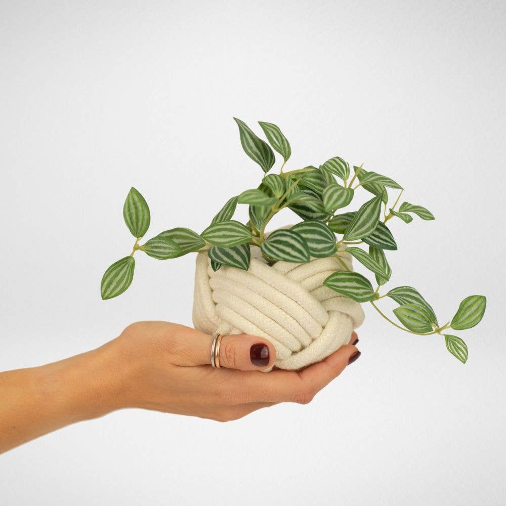 Freeleaf - Wholesale Plant Pot - Mini Unbound Planter0