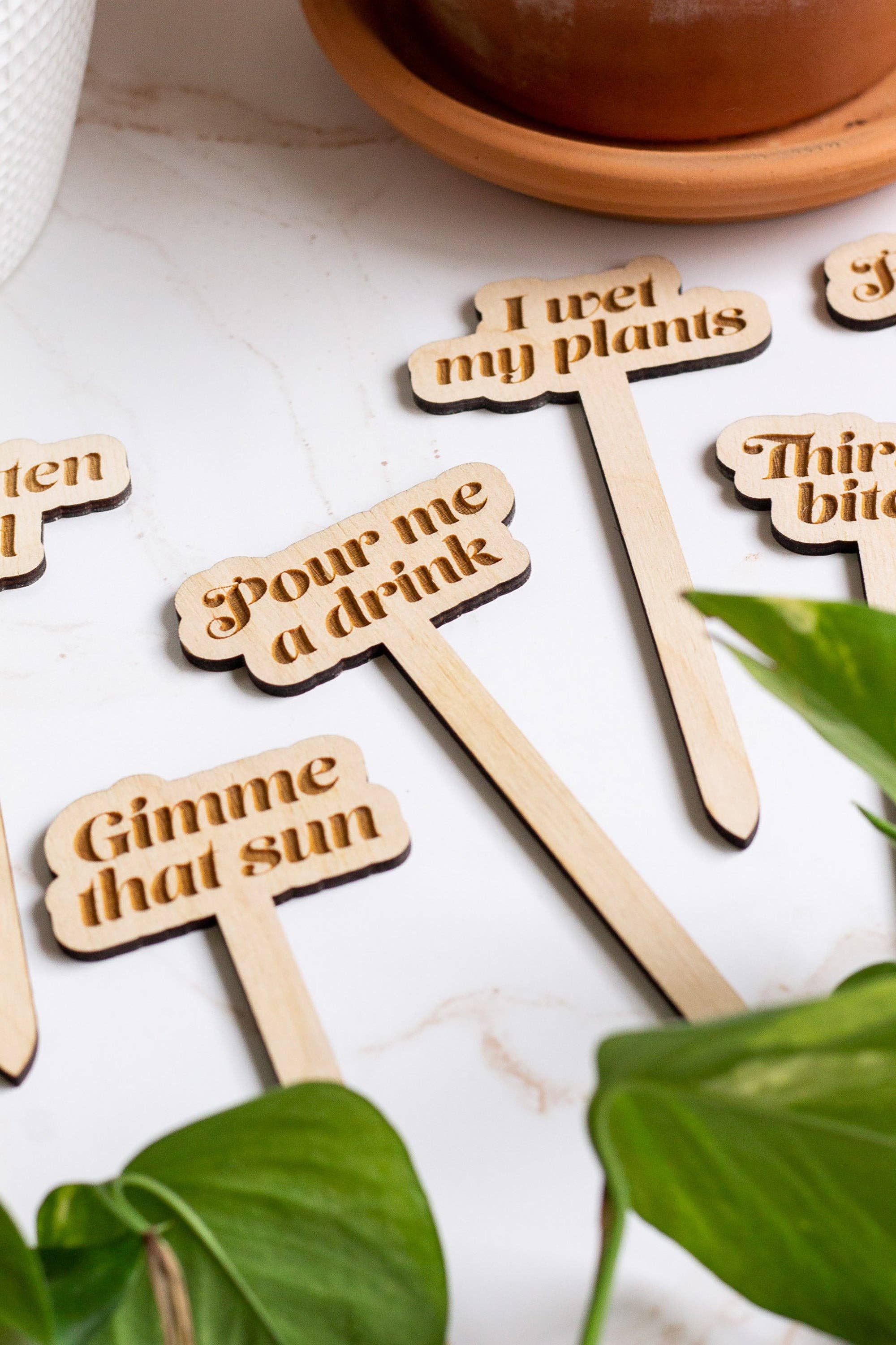The Print Pantry - Wholesale Garden/Lawn Stake - Funny Wooden Plant Markers6