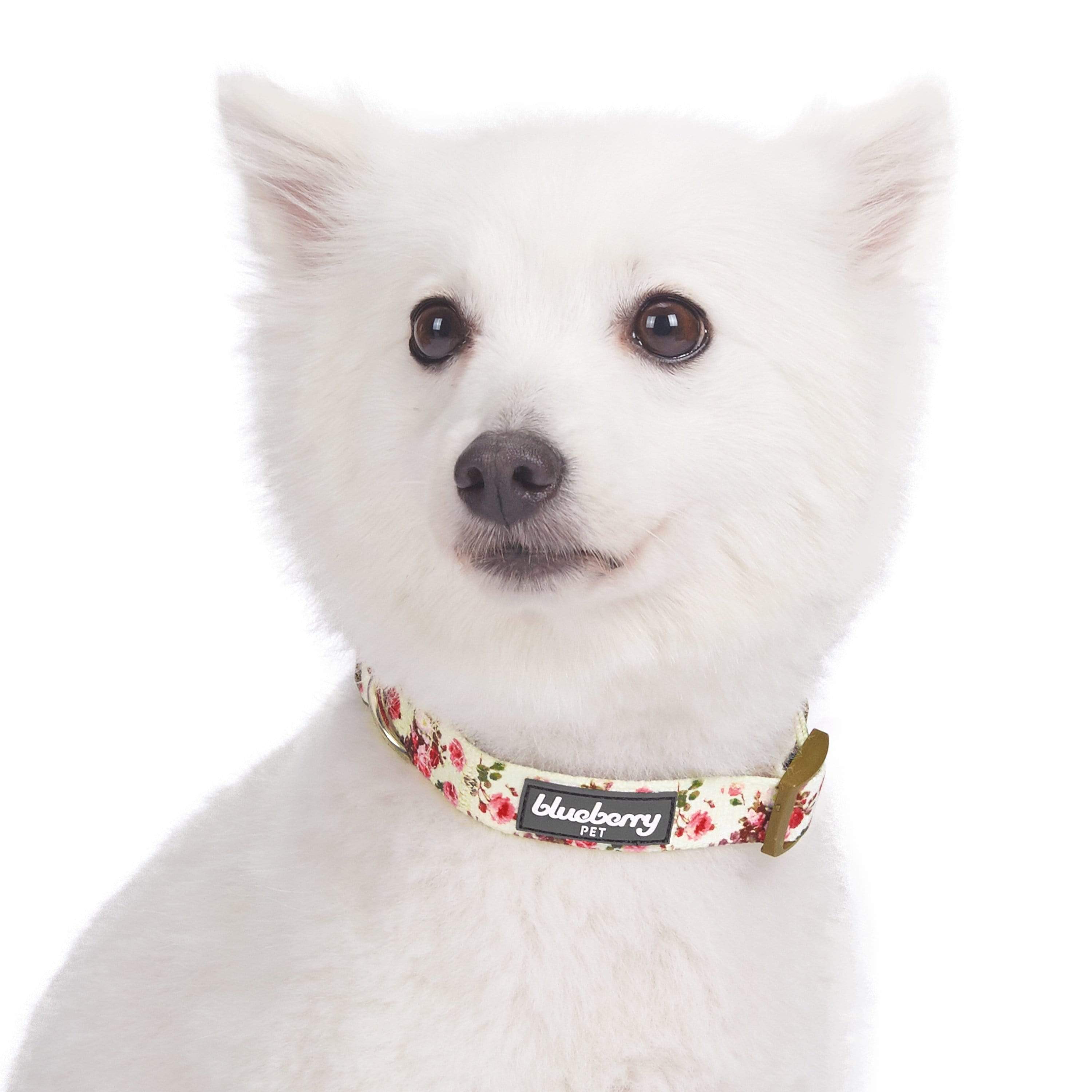 Blueberry Pet - Wholesale Halsband - Hond - Lichtgewicht verstelbare hondenhalsband met lente bloemenpatroon27