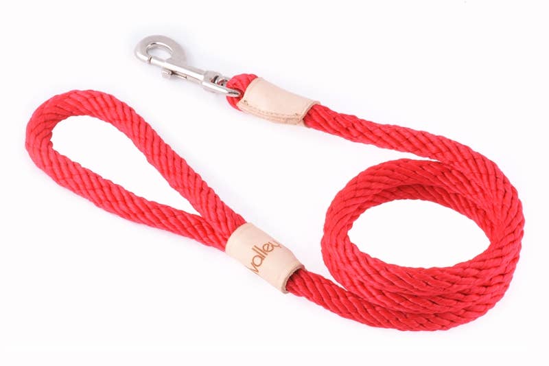 Alvalley – wholesale Pet leash – Dog – Sport Snap Lead37