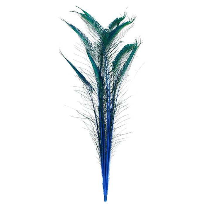 Peacock Swords Stem Dyed - Dark Turquoise for wholesale by Zucker Feather Products