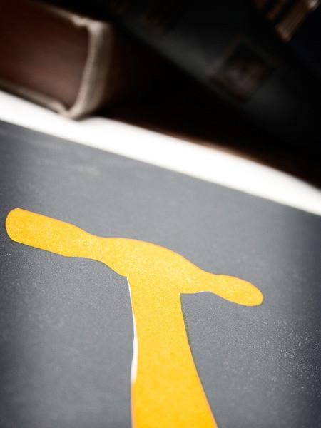 Old Try - Wholesale Art Print - Yellowhammer3