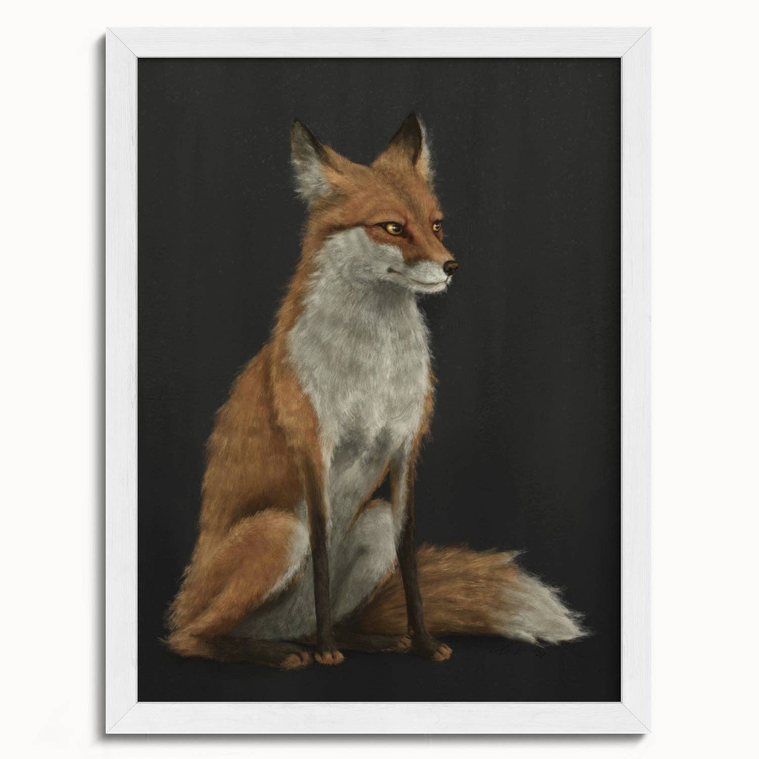 The Ugly Cat Studio - Wholesale Art Print - Red Fox Fine Art Print - Black Edition13