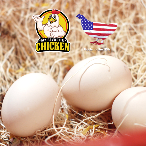 My Favorite Chicken - Wholesale Pet Supplement - Not Cat/Dog - Chicken Nesting Pads with Aromatic Nest Herbs, 10pk4