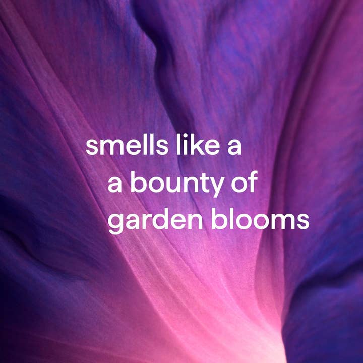 First Choice Buying - Wholesale Hand Soap/Wash - Method Foaming Hand Wash Refill, Violet + Lavender, 28 Oz3