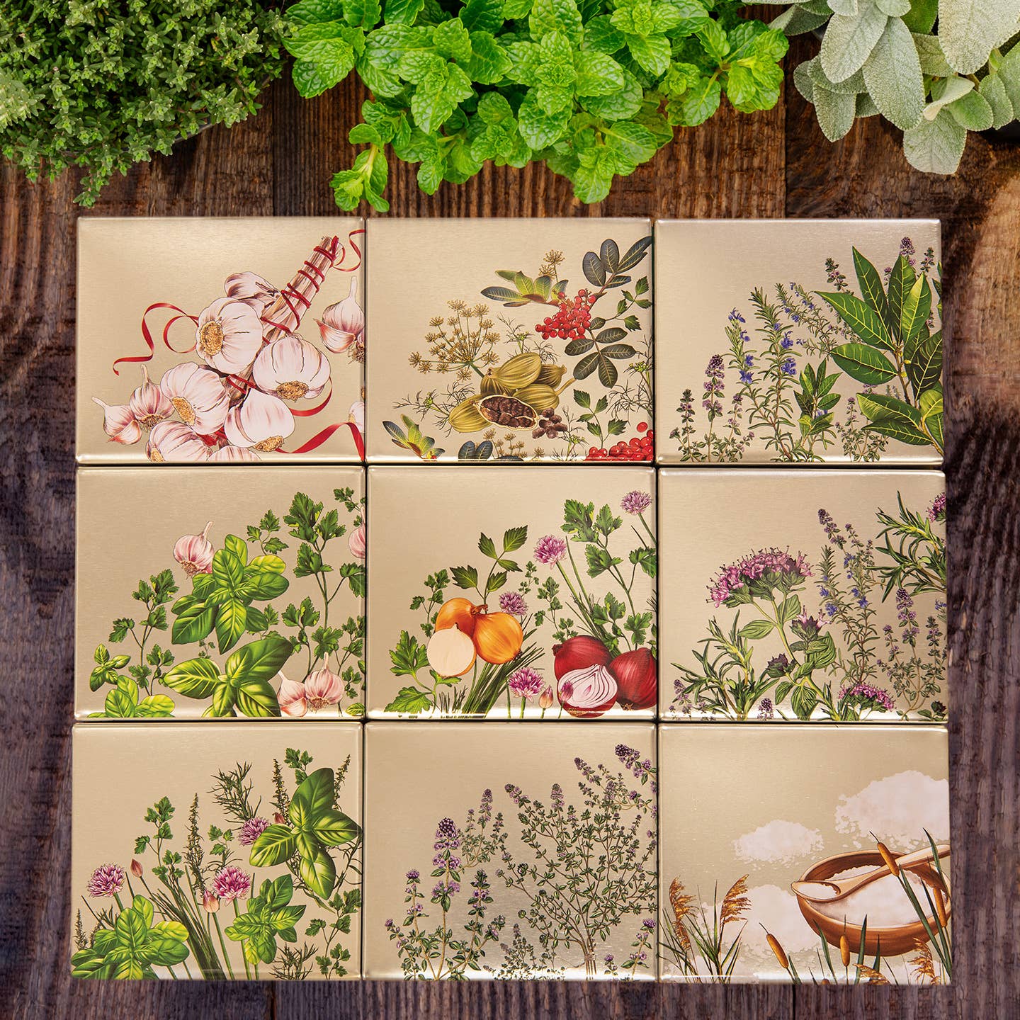 PROVENCE D'ANTAN - Wholesale Herbs - Organic Provence Herbs Cube* - 40g5