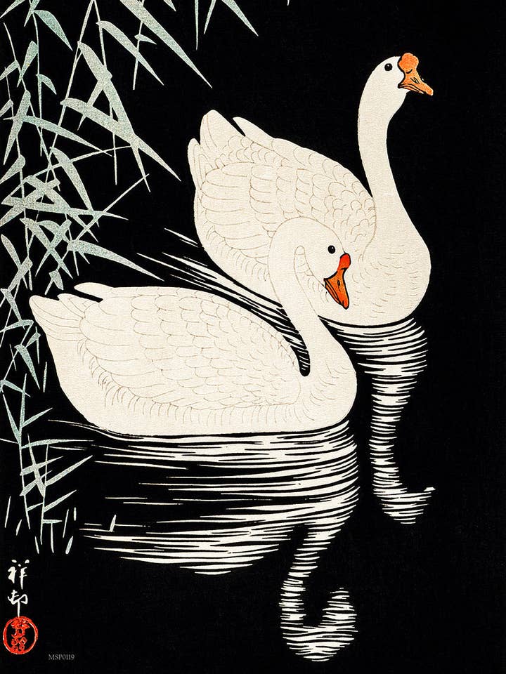 Swans Refelicting on the river by Ohara Koson 1900 - 1945 Japenese Poster Art Print 30x40cm for wholesale by On The Wall Art Ltd