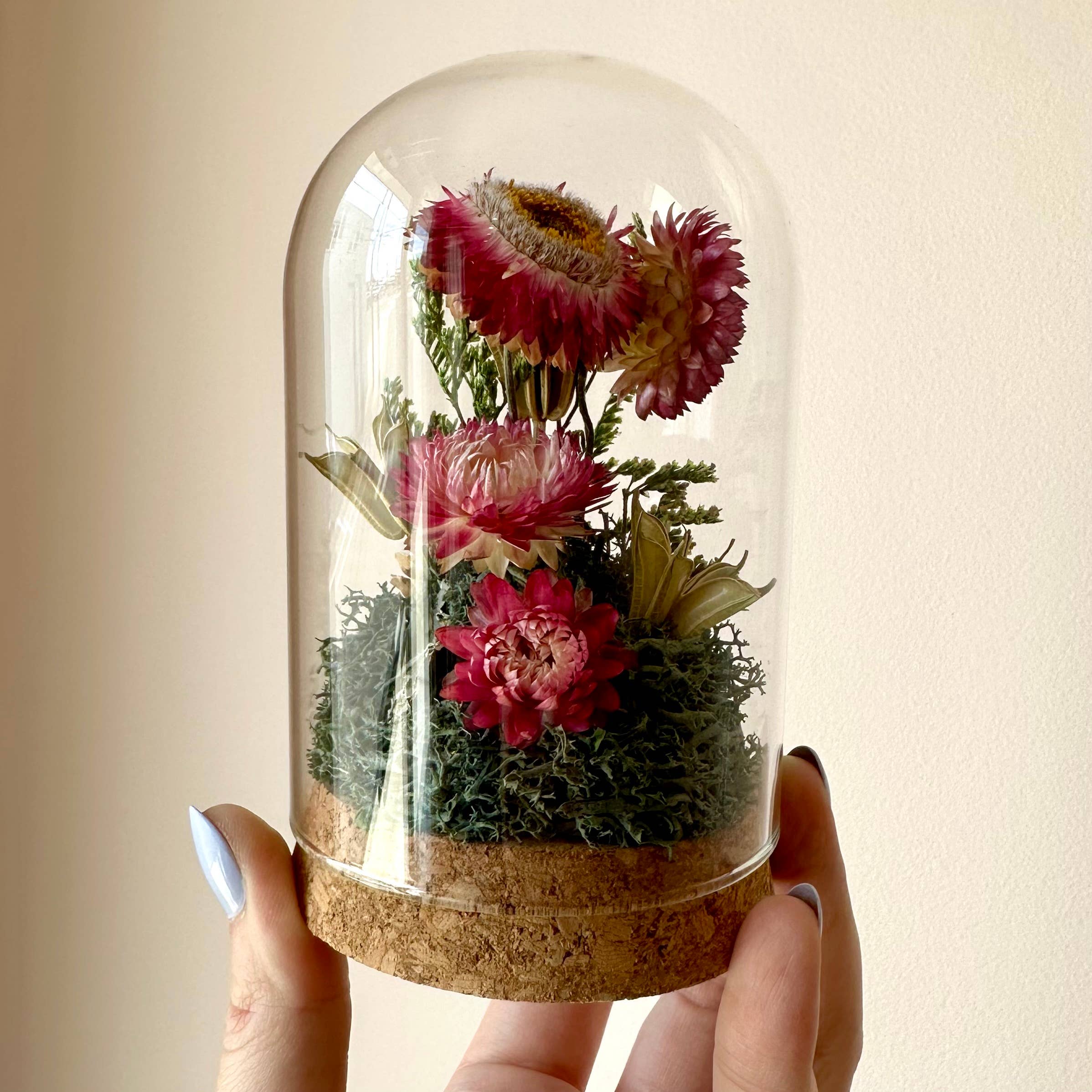 CA Studios - Wholesale Terrarium - Large Botanical Glass Terrarium Jar w. Pink Dried Florals1
