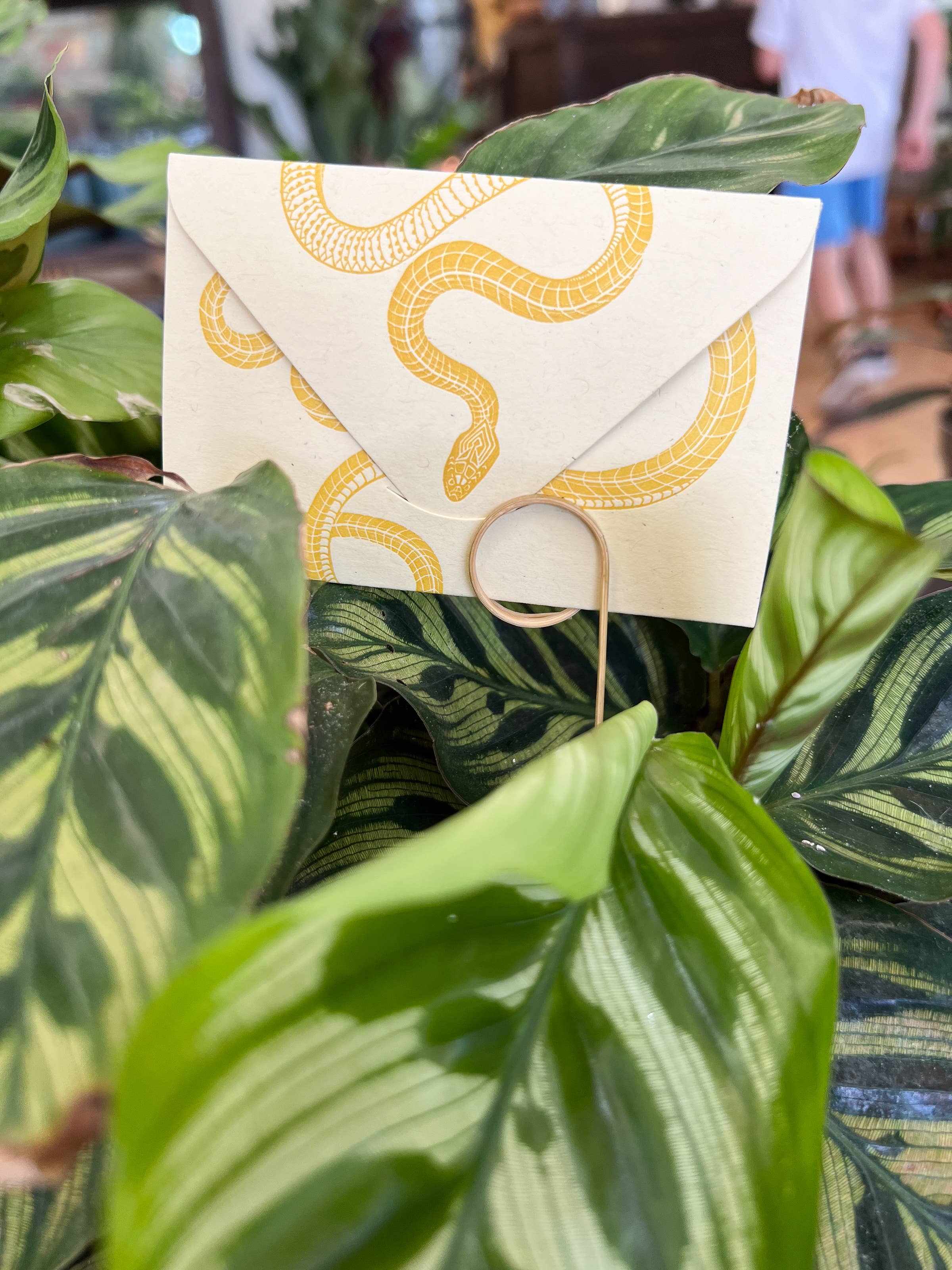 Blackbird Letterpress - Wholesale Everyday Greeting Card - snake yellow gold mini card6