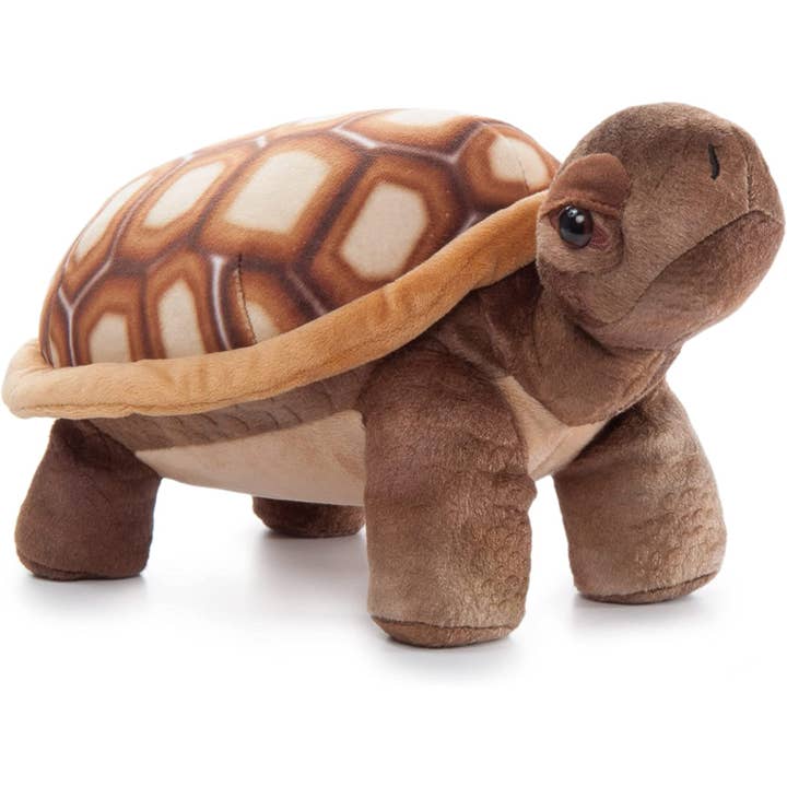 Tartaruga selvagem do deserto de Onez de 14" (35 cm) por atacado de The Petting Zoo