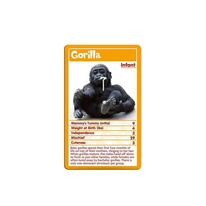 Top Trumps USA, Inc. - Wholesale Card Game - Baby Animals Top Trumps Card Game
