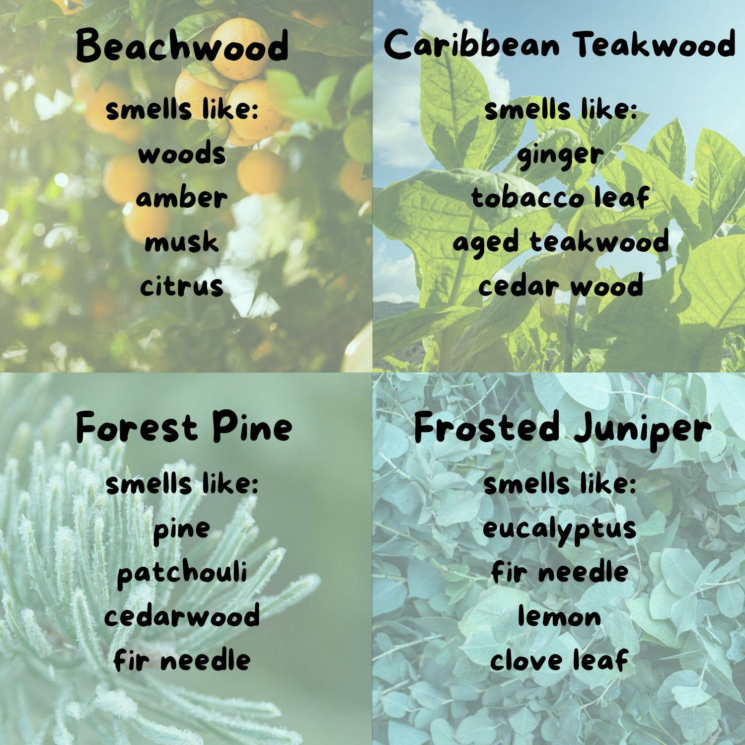 Moonlight Makers - Wholesale Jar/Filled Candle - New Baby Gift - Amazing Parents Candle - 8oz, 100% Soy 6