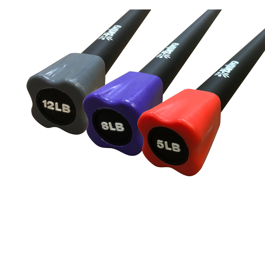 Bintiva - Wholesale Fitness Equipment - Bintiva Weighted Fitness Bars12