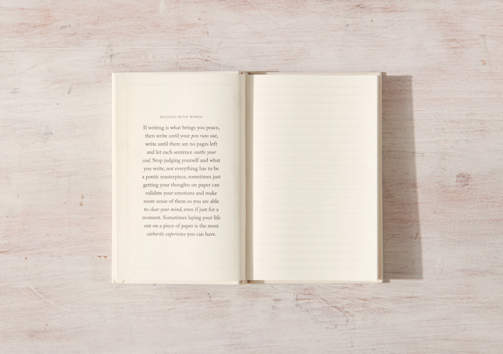 Thought Catalog - Wholesale Journal/Diary - Write In These Pages Journal1